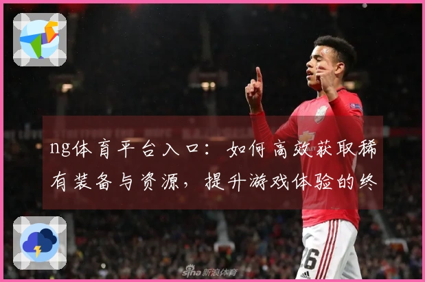 ng体育平台入口：如何高效获取稀有装备与资源，提升游戏体验的终极攻略