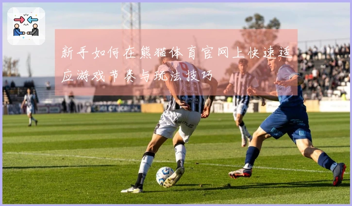 新手如何在熊猫体育官网上快速适应游戏节奏与玩法技巧